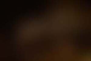 Фотография квеста Тайны чародеев 2.0 от компании Questico (Фото 2)